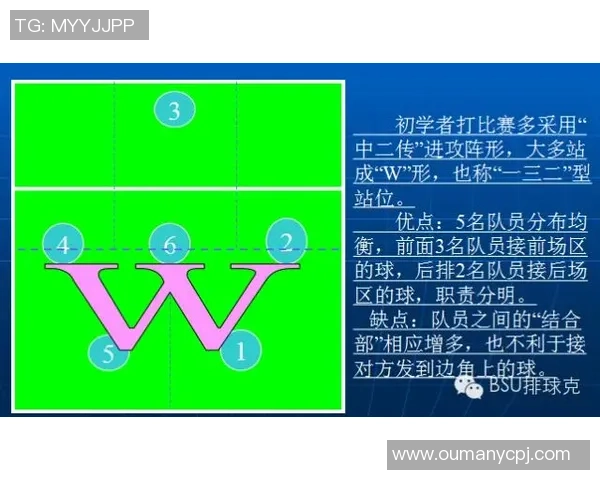 武汉排球队进攻战术解析与实战应用深度分析 武汉排球队进攻战术解析与实战应用深度分析