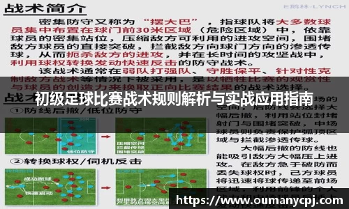 bsports官网入口