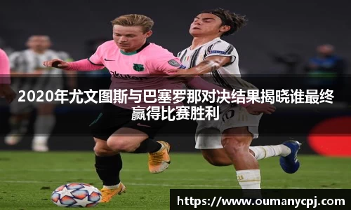 bsports官网入口