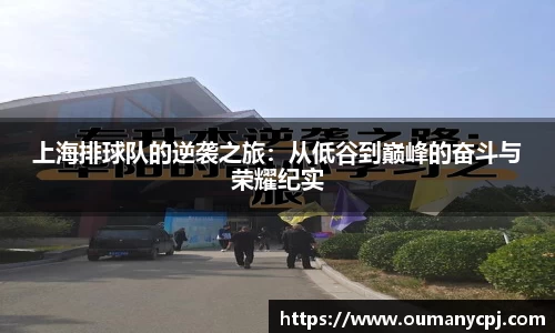 上海排球队的逆袭之旅：从低谷到巅峰的奋斗与荣耀纪实
